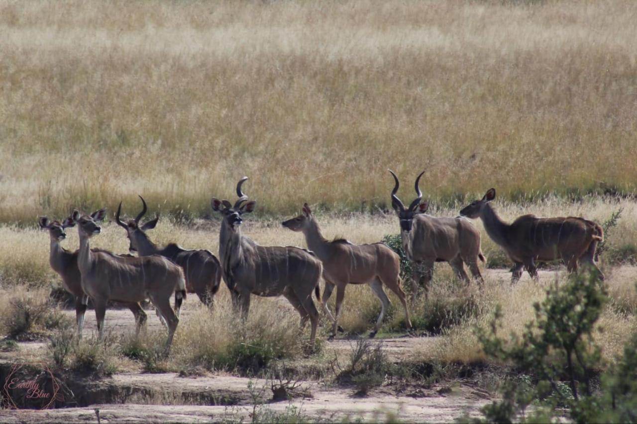 Letsatsi Game Lodge Smithfield Bagian luar foto
