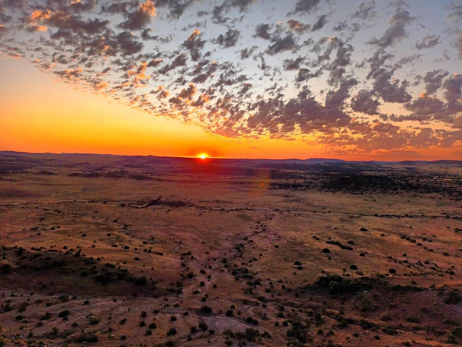 Letsatsi Game Lodge Smithfield Bagian luar foto