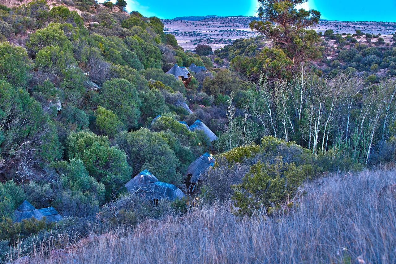 Letsatsi Game Lodge Smithfield Bagian luar foto
